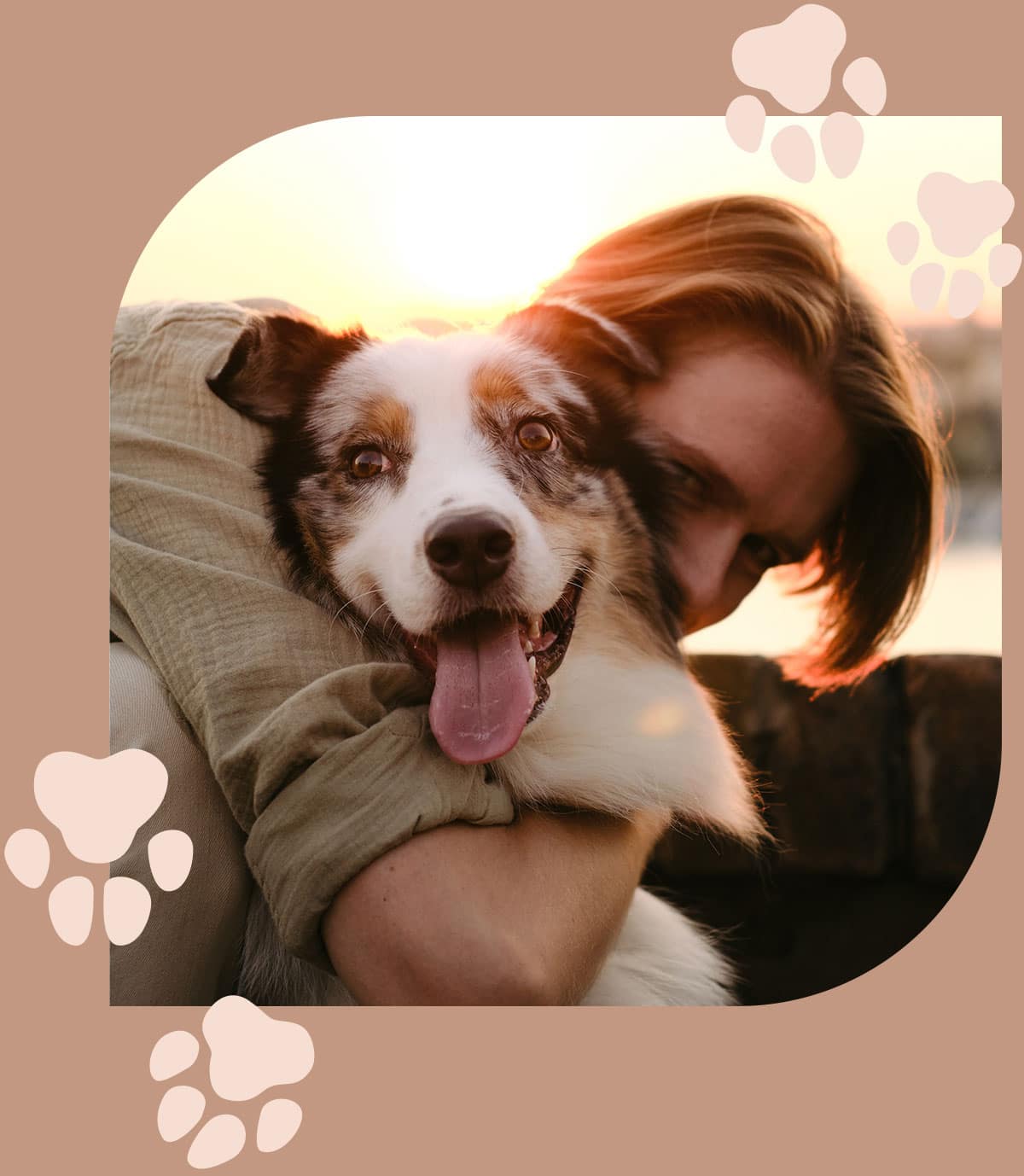 Owner hugs his healthy dog after a pet exam in Centerton AR