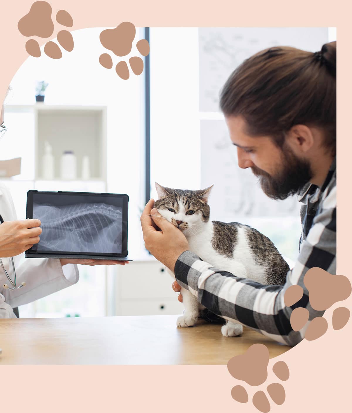 Man reviews his cat's x-ray with Dr. Jernigan in Centerton NC