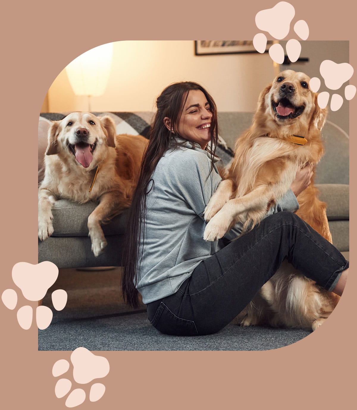 Happy and health dog play with their owner aft a diagnostic ultrasound appointment