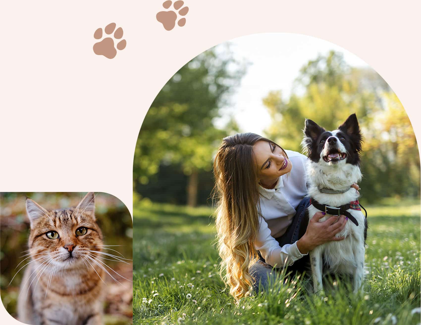 Woman take good care of her pet after reading the veterinary blogs by Dr. Jernigan in Centerton AR
